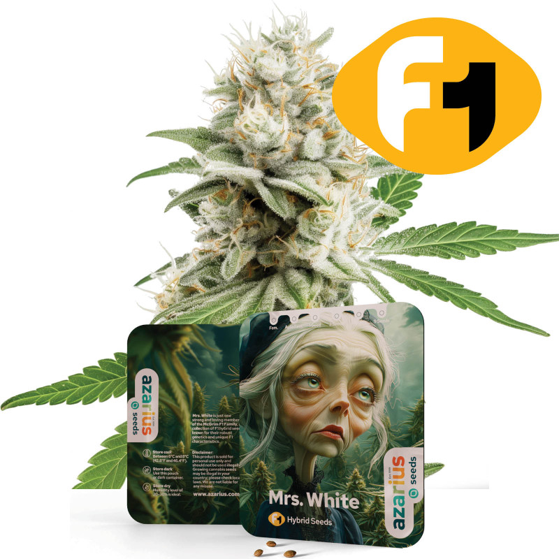 Mrs. White F1 Mrs. White F1